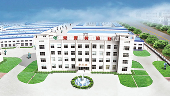 山東常青樹膠業(yè)股份有限公司 山東常青樹膠業(yè)股份有限公司